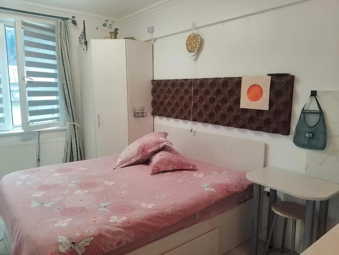 1 Small Studio, Central, Self Check In Sinaia Buitenkant foto